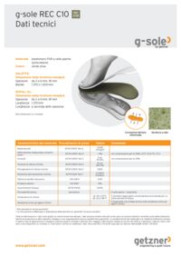 Data sheet g-sole REC C10 IT